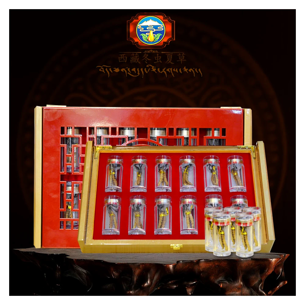 Đông Trùng Hạ Thảo Tây Tạng Nguyên Con - KING SIZE 10gam - 14 con chính hãng nhập khẩu | BLG