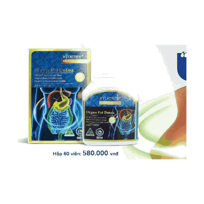 Giải Pháp Detox Mỡ Nội Tạng Bằng Trà Xanh & Garcinia Cambogia Vitatree